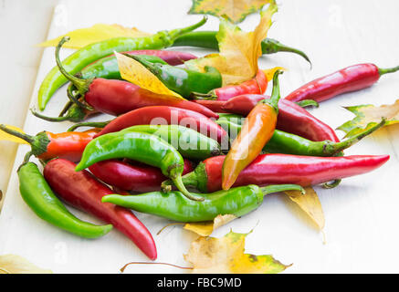 Peperoncini piccanti con colori luminosi e foglie di autunno Foto Stock