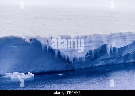 Ghiaccioli appesi da parete di ghiaccio di fusione ghiacciaio Brasvellbreen sboccante in mare Artico, Austfonna, Nordaustlandet, Svalbard Foto Stock