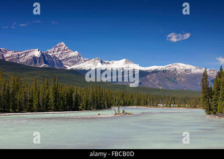 Athabasca River con acqua di disgelo glaciale che porta farina di roccia di fronte montagne rocciose, il Parco Nazionale di Jasper, Alberta, Canada Foto Stock