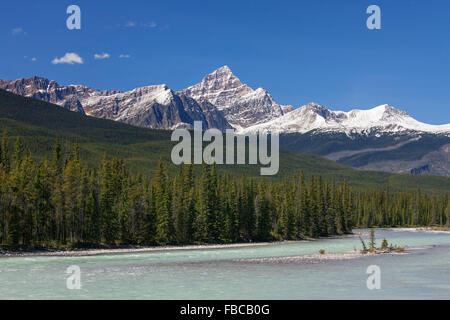 Athabasca River con acqua di disgelo glaciale che porta farina di roccia di fronte montagne rocciose, il Parco Nazionale di Jasper, Alberta, Canada Foto Stock