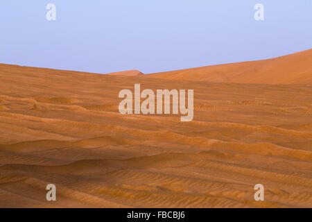 La sabbia rossa della rosa del deserto di roccia, Sharjah, Dubai, UAE Foto Stock