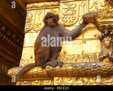 Monkey Temple 'Swayambhunath' Kathmandu Foto Stock