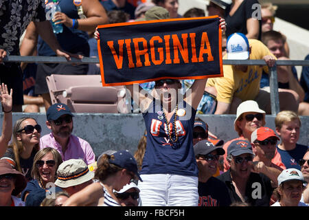 Un Virginia Cavaliers acclamazioni della ventola durante il secondo trimestre contro il UCLA Bruins presso il Rose Bowl il 5 settembre 2015 in Foto Stock