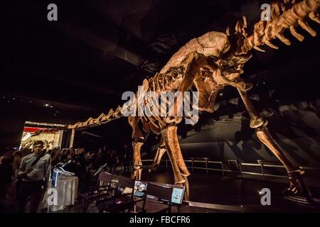(160114) -- NEW YORK, 14 gennaio 2016 (Xinhua) -- la gente visita il 'Titanosaur' scheletro mostra nel Museo Americano di Storia Naturale di New York, Stati Uniti, 14 gennaio 2016. A partire da gennaio 15, il Museo Americano di Storia Naturale si aggiungerà un altro deve vedere presentano -- un cast di un 122 piedi (37.2m) dinosauro. Il dinosauro non è ancora stato formalmente nominato dagli scienziati che hanno scoperto, ma è stata dedotta da paleontologi che si trattava di un gigantesco erbivoro che appartiene a un gruppo noto come pesatura titanosaurs tanto quanto 70 tonnellate. Il calco è basato su 84 ossa fossili che sono stati scavati i Foto Stock