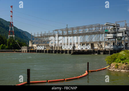 Bonneville Dam diga idroelettrica sul fiume Columbia. Cascade Locks, Oregon, Stati Uniti d'America Foto Stock