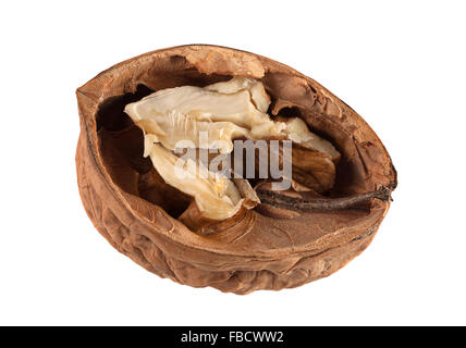 Frutta noce closeup isolati su sfondo bianco Foto Stock