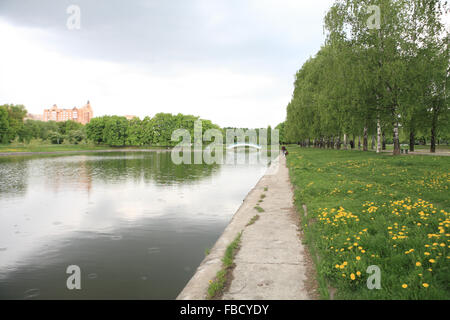 La molla nel parco della città Foto Stock