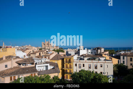 Viste di Palma de Maiorca con la cattedrale di Maiorca, isole Baleari, Spagna Foto Stock