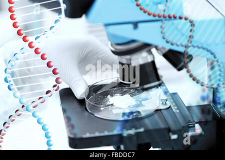 Stretta di mano con microscopio e campione di polvere Foto Stock