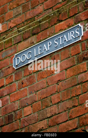 Cane scale Leap, Newcastle upon Tyne Foto Stock