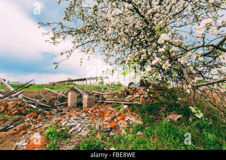 Capannone abbandonato in bielorusso village. Disastri Cernobyl. Queste abitazioni abbandonate e interi villaggi devono essere smaltiti Foto Stock