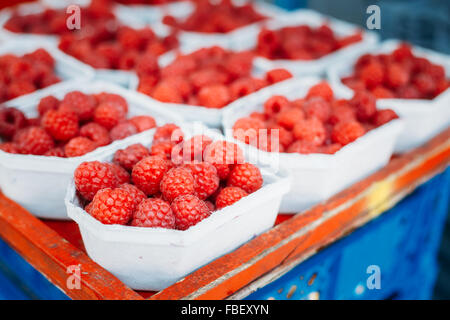 Assortimento di organico fresco ribes lamponi a produrre sul mercato locale in cesti e contenitori. Foto Stock