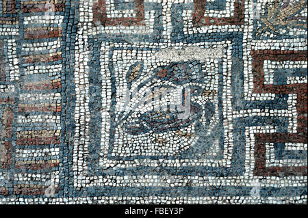 Antico Romano Pavimento A Mosaico Con Forme Geometriche Motif E Motivo antico-romano-pavimento-a-mosaico-con-forme-geometriche-motif-e-motivo