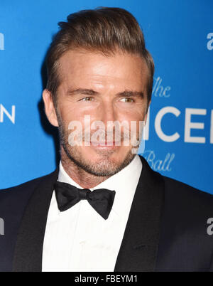 DAVID BECKHAM calciatore inglese nel gennaio 2016. Foto di Jeffrey Mayer Foto Stock