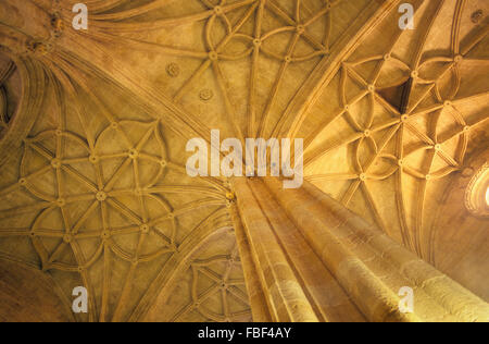 La cattedrale, la volta centrale.Almería. Andalusia. Spagna. Foto Stock