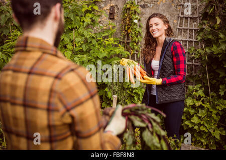 Coppia giovane azienda barbabietole e carote Foto Stock