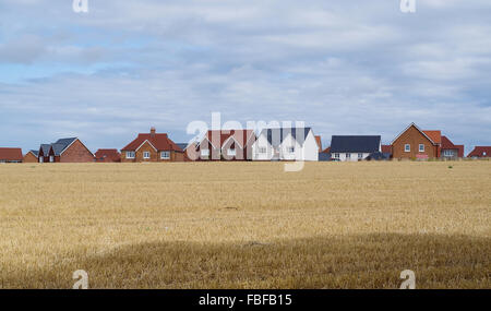 Case di recente costruzione su uno sviluppo su terreno coltivato nel West Sussex, mostrato guardando sopra la restante campo di mais. Foto Stock