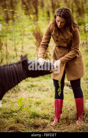 Donna cavallo di alimentazione una carota Foto Stock