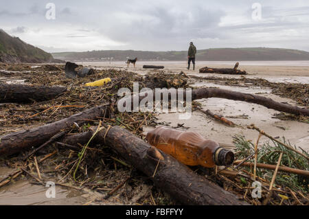 I detriti lavato fino sulla spiaggia Llansteffan dopo alta marea seguenti unseasonable inverno umido. Carmarthenshire. Galles del Sud. Regno Unito. Foto Stock