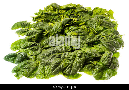 Italiano di foglie di spinaci, appena raccolto singolo lascia cuocere insalata verde di cottura alimenti greenfood spinat veggi ortaggi freschi Foto Stock