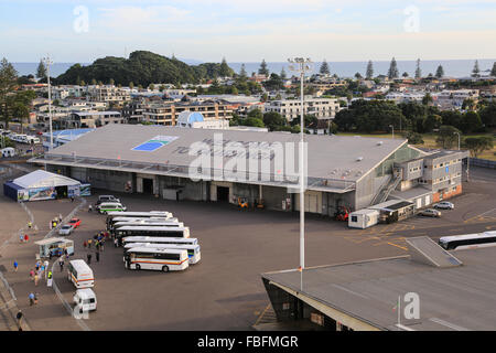 Benvenuti al segno di Tauranga saluta la nave di crociera visitatori presso il porto di Tauranga mentre gli autobus e tour operator di attendere presso il dock. Foto Stock