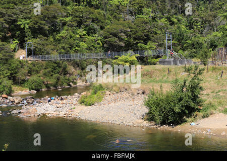 Ponte di sospensione a Karangahake Gorge attrazione turistica a Karangahake, Waikato, Nuova Zelanda. Foto Stock