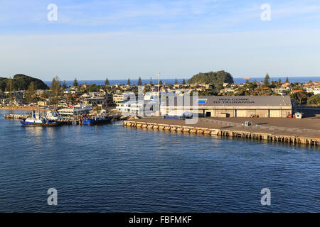 Benvenuti al segno di Tauranga saluta la nave di crociera visitatori presso il porto di Tauranga con tug barche attraccate al dock. Foto Stock