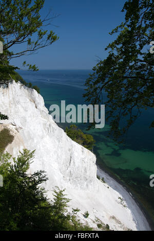 Mons Klint sono a 6 km del tratto di chalk scogliere lungo la costa orientale dell'isola danese di Mon nel Mar Baltico. Foto Stock