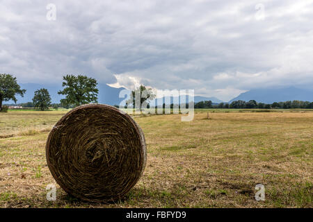 Foto scattata presso il Chiemsee in Baviera, Germania, in settembre. Foto Stock