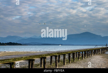 Foto scattata presso il Chiemsee in Baviera, Germania, in settembre. Foto Stock