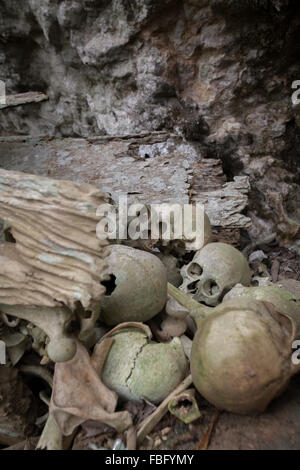 Teschi delle persone decedute in un sito di sepoltura tradizionale nel villaggio di Kete Kesu, Toraja settentrionale, Sulawesi meridionale, Indonesia. Foto Stock