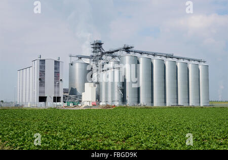 Nuovi silos di una cooperativa agricola, in Germania, in Renania settentrionale-Vestfalia, Neuss Foto Stock