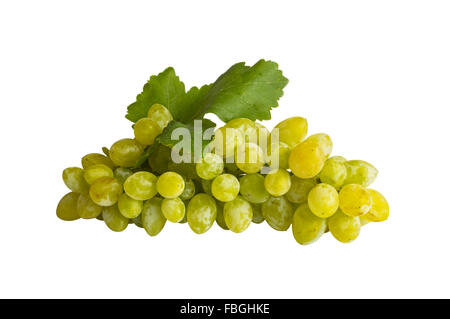Verde grappolo di uva isolati su sfondo bianco. Messa a fuoco selettiva. Foto Stock