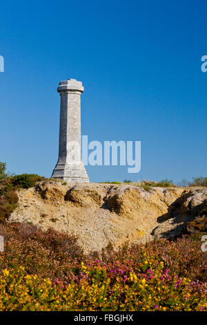 1844 torre sul black Down, Dorset in memoria del vice ammiraglio sir Thomas Masterman Hardy di HMS Victory alla Battaglia di Trafalgar Foto Stock