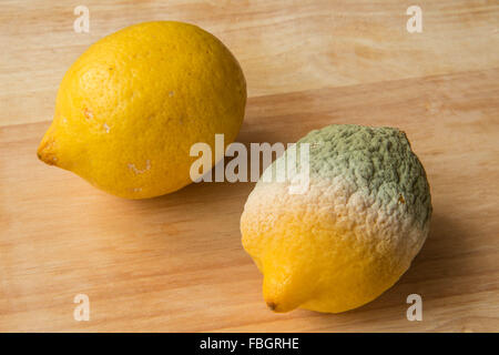 Limoni - una buona uno marcio - Sfondo legno Foto Stock