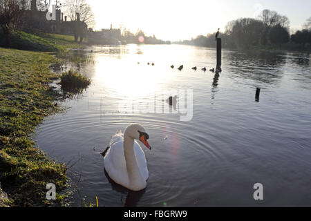 Hampton Court, Londra, Regno Unito. 16 gennaio 2016. Era una fredda e gelido di iniziare la giornata sul Fiume Tamigi accanto a Hampton Court Palace nel sud-ovest di Londra. Credito: Julia Gavin UK/Alamy Live News Foto Stock