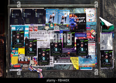 Poster pubblicità mostra sull'Edinburgh Fringe Festival sulla finestra di un negozio abbandonati. Foto Stock