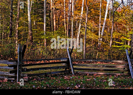 Rampa di recinzione posta nella parte anteriore di un bosco Foto Stock