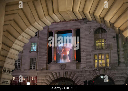 Londra, Regno Unito. Il 16 gennaio 2016. "Elephantastic' dall'alto là Design / Catherine Garret si è visto in precedenza Regent Street. Il lavoro fa parte di Lumiere Londra, un nuovo grande festival della luce che ha continuato oggi durante il fine settimana come un enorme numero di persone ha visitato il terzo dei quattro eventi serali con artisti che lavorano con la luce. La manifestazione è prodotta da carciofo e supportata dal sindaco di Londra. Credito: Stephen Chung / Alamy Live News Foto Stock