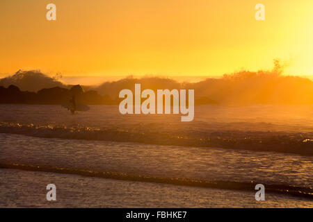 Di prima mattina sessione di surf in Rockaway Beach, Queens, a New York. Fotografato nel mese di ottobre 2015. Foto Stock