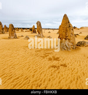 I Pinnacoli sono formazioni di calcare all'interno di Nambung National Park, vicino alla città di Cervantes, Western Australia. Foto Stock