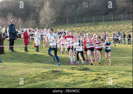 L annuale Knole Run Sevenoaks School cross country gioventù miglio a correre in squadre dura gara endurance Foto Stock