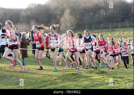 L annuale Knole Run Sevenoaks School cross country gioventù miglio a correre in squadre dura gara endurance Foto Stock