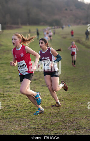 L annuale Knole Run Sevenoaks School cross country gioventù miglio a correre in squadre dura gara endurance Foto Stock