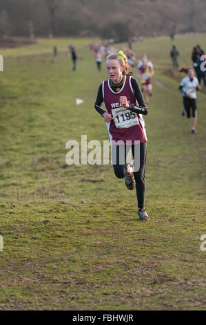 L annuale Knole Run Sevenoaks School cross country gioventù miglio a correre in squadre dura gara endurance Foto Stock