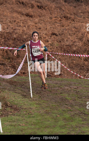 L annuale Knole Run Sevenoaks School cross country gioventù miglio a correre in squadre dura gara endurance Foto Stock