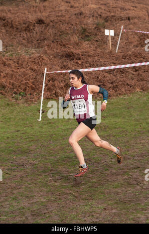 L annuale Knole Run Sevenoaks School cross country gioventù miglio a correre in squadre dura gara endurance Foto Stock