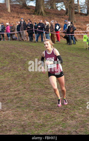 L annuale Knole Run Sevenoaks School cross country gioventù miglio a correre in squadre dura gara endurance Foto Stock