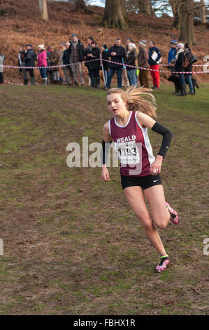 L annuale Knole Run Sevenoaks School cross country gioventù miglio a correre in squadre dura gara endurance Foto Stock