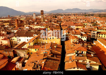 Vista panoramica sulla città rinascimentale di Lucca, Toscana, Italia, Europa Foto Stock